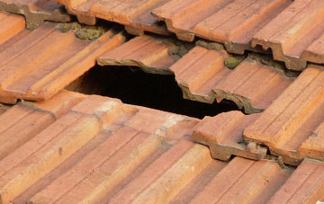 roof repair Cloddiau, Powys