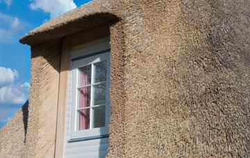 Cloddiau thatch roof disadvantages